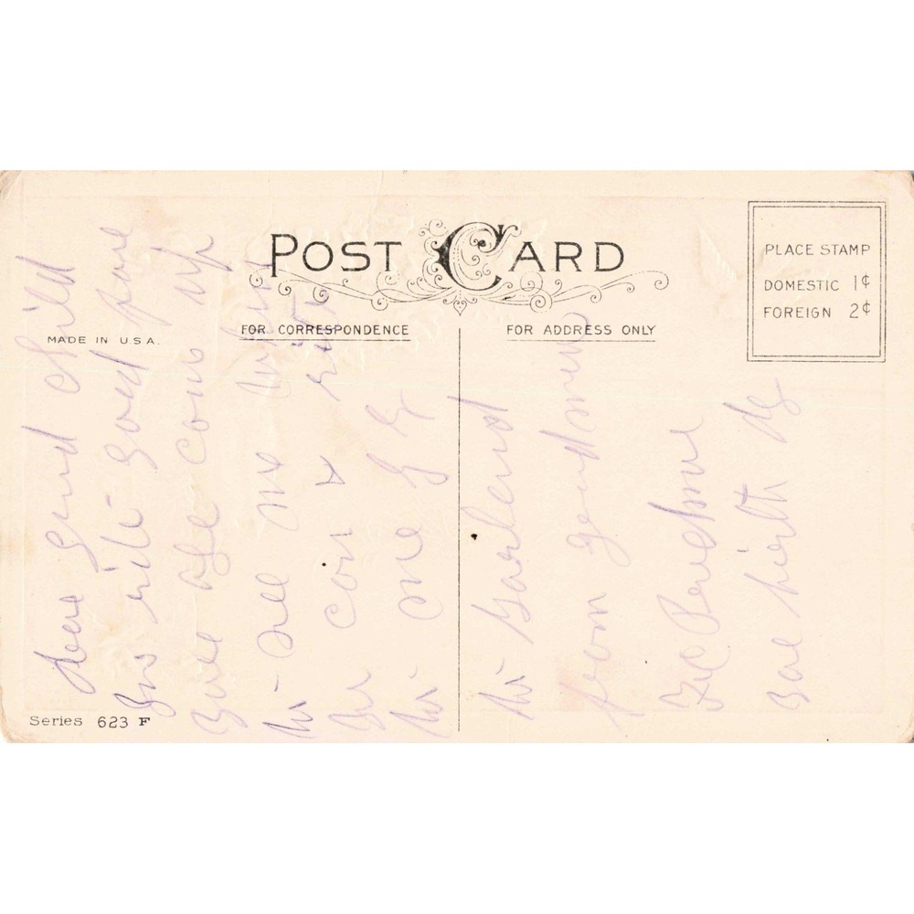 Vintage Bluebird Happy Future Postcard Series 623 F Divided Back Made in USA - Picture 2 of 2